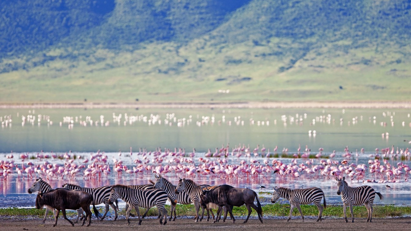 Serengeti – Game drives