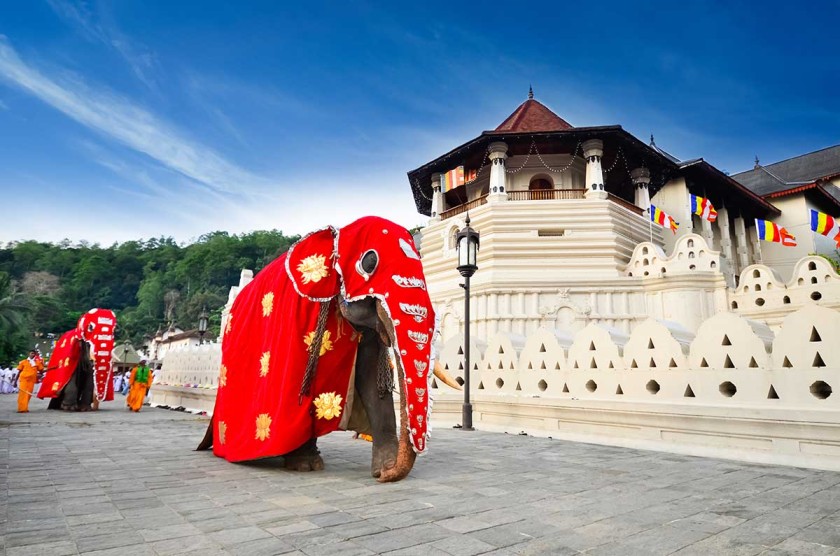 Dambulla Sightseeing