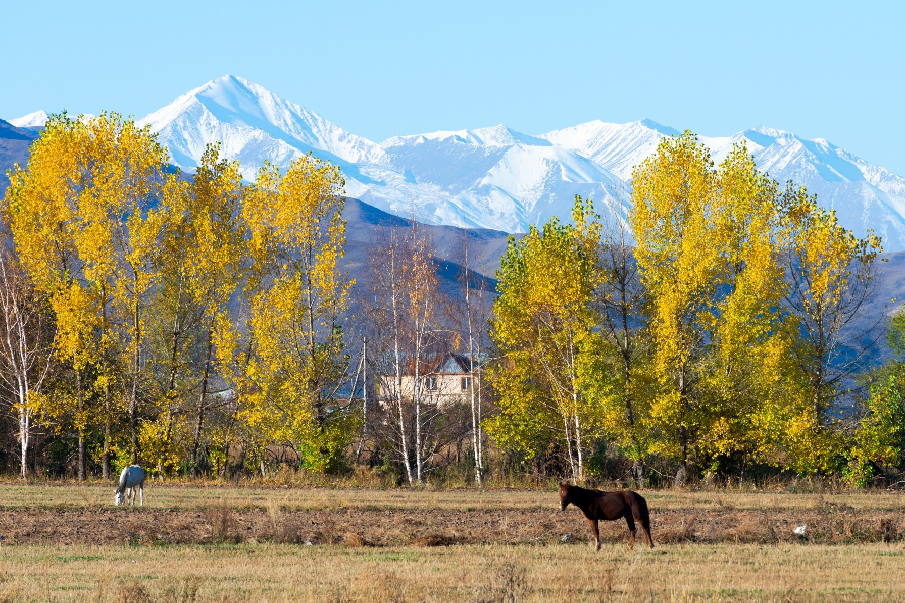 Bishkek City Tour & Ala Archa National Park