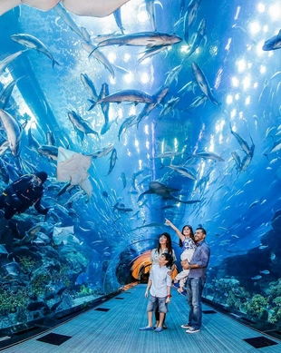 Dubai Aquarium & Underwater Zoo