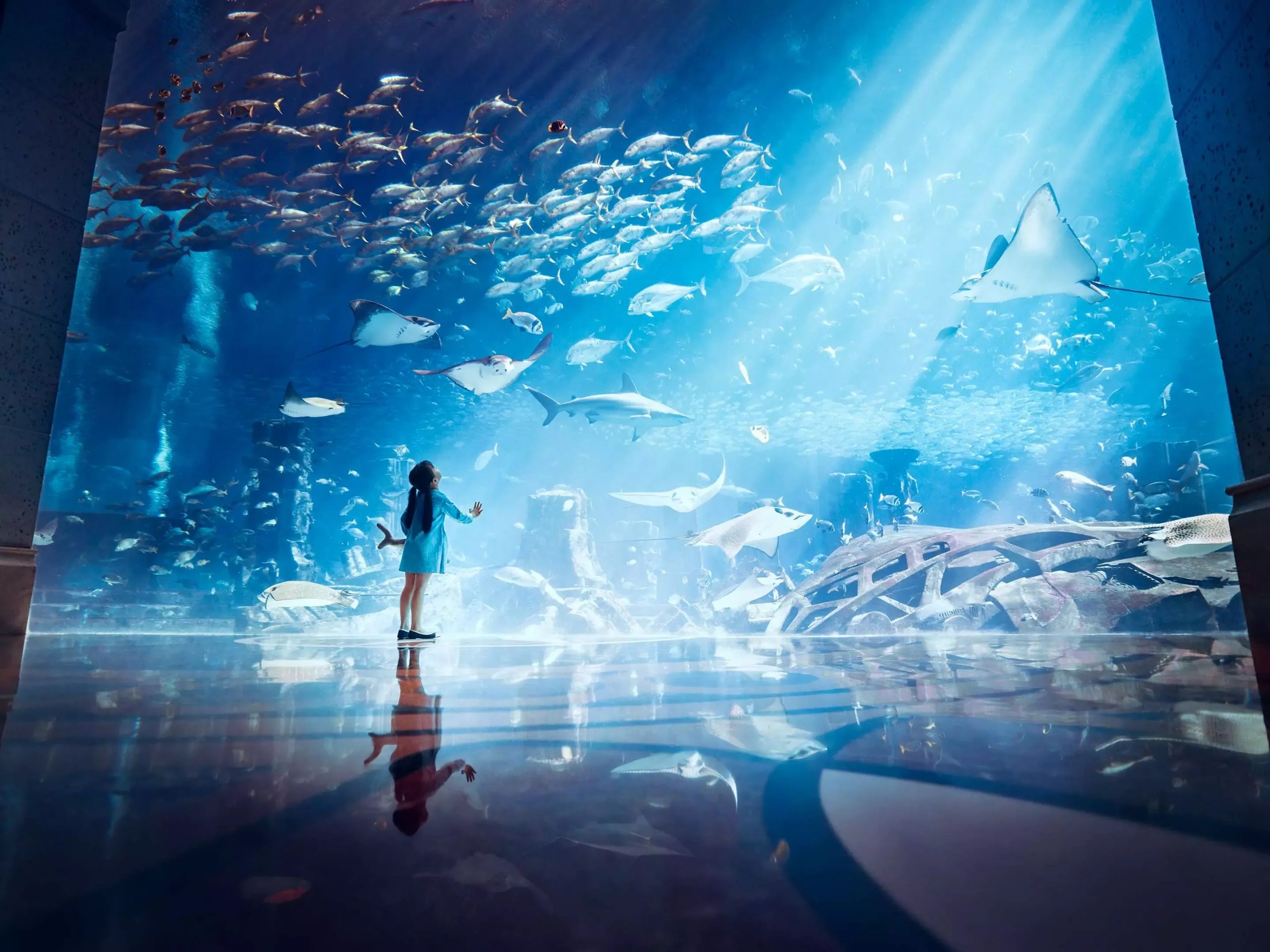 Lost Chambers Aquarium