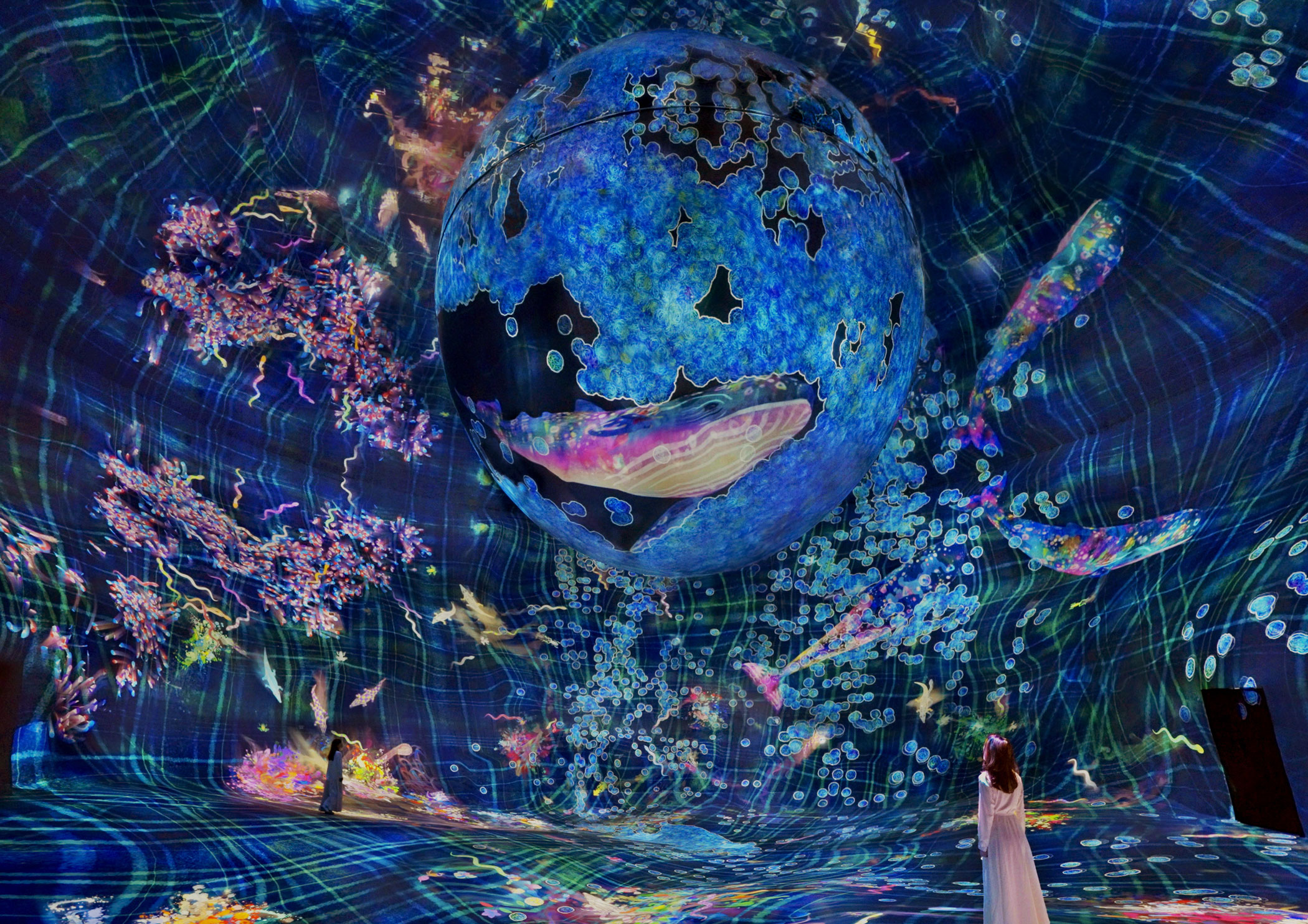 teamLab Phenomena Abu Dhabi